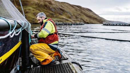 Scottish Sea Farms wins top sustainability award
