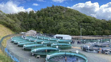 Scottish salmon hatchery gets an organic overhaul