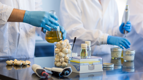 Revolutionizing Food Preservation And Reducing Waste
