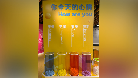 Link Sustainability Lab spreads the social cohesive issue in the community