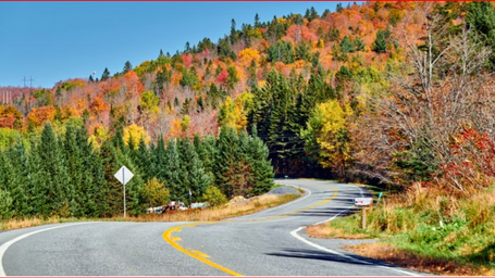 Business or Pleasure (or both) in New England