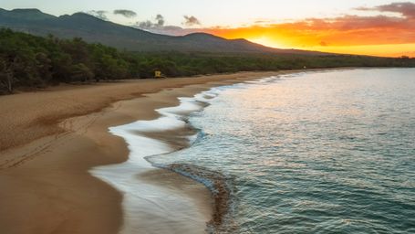 From a "green paradise" to a "green energy paradise"