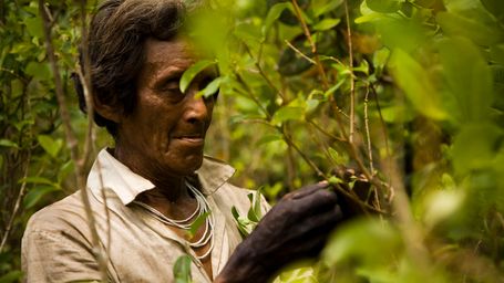 ¿Cómo salvar la biodiversidad que custodian los pueblos indígenas?