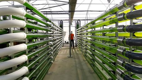 Un edificio plagado de microalgas para reducir la contaminación