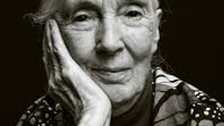 Jane Goodall: “La rabia está bien, pero debemos canalizar esa rabia para cambiar el mundo”
