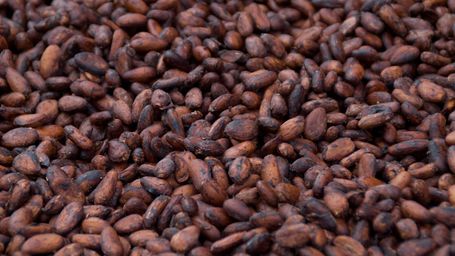 Can companies make chocolate more sustainable? One researcher is trying to find out
