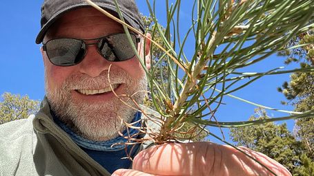 Reforesting Mt. Charleston