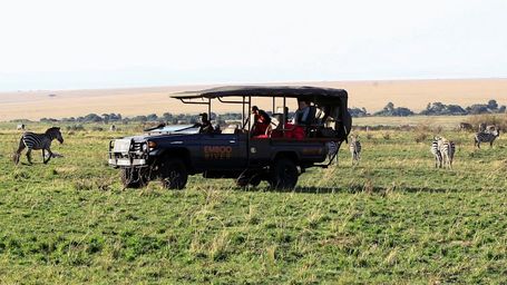 EV Safaris Promise Cleaner, Quieter Wildlife Tours