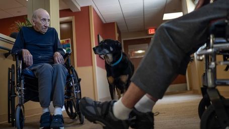 Dog repeatedly escapes animal shelter, sneaks into nursing home, is adopted by residents