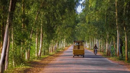 How Pakistan is focusing on a green recovery from the pandemic