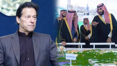 Pakistan to help Saudi Arabia plant 10bn trees to tackle climate change