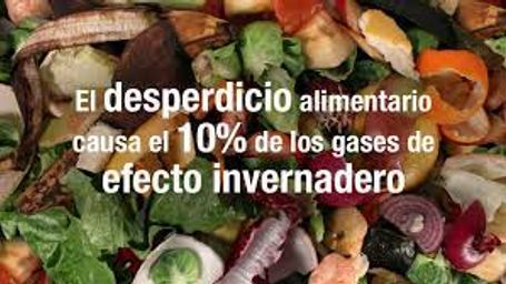 Desperdicio de alimentos, otra pandemia que también afecta el medio ambiente