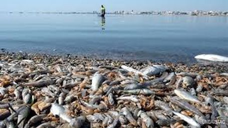 "Tenemos soluciones integrales para el Mar Menor que ya se han aplicado con éxito en Canadá"