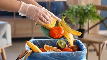 Food Loss vs Food Waste