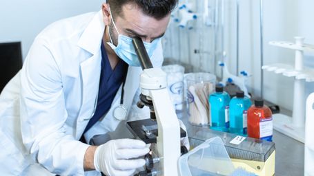 Rapid DNA Analysis System Being Developed To Audit Processed Vegan Foods
