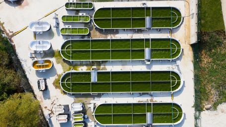 A radical, carbon negative project in Turkey is turning algae into bio-jet fuel
