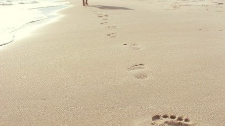QUELLE EST VOTRE EMPREINTE ECOLOGIQUE?