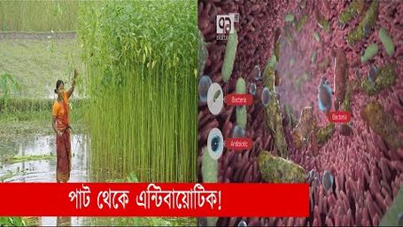 Bangladeshi scientists discover new antibiotics on jute seeds