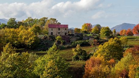 « Reconstruire le monde en mieux » : le plan du G7 pour aider des pays à se relever de la pandémie