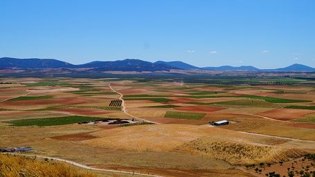 La FAO y España se comprometen a seguir colaborando estrechamente en materia de seguridad alimentaria y nutrición a nivel mundial