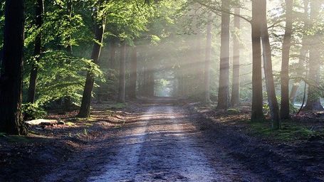 Le G20 Environnement soutient la création d’un Réseau international d’experts de l’environnement dans les sites UNESCO