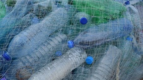 Real Decreto que regula el Fondo de Restauración Ecológica y Resiliencia