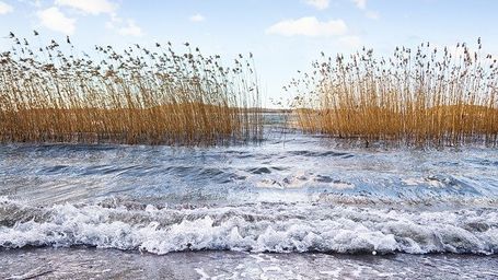 Urban Planning for Climate Change - Cross Atlantic Perspectives