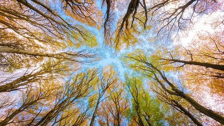Estos son los niños y niñas que más luchan contra el cambio climático en el planeta