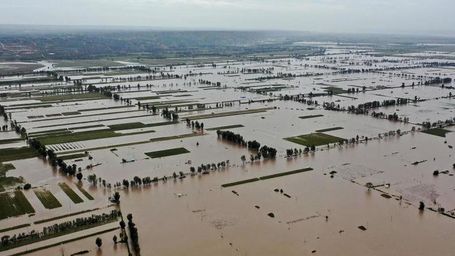 Droit à un environnement sain reconnu par l’ONU : « Un tournant majeur »