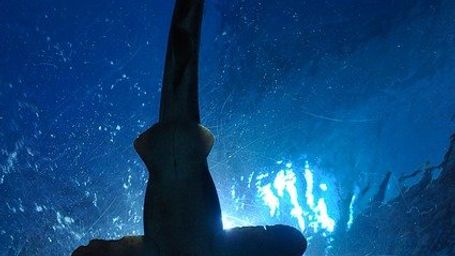 Crece la población de tiburones blancos en la costa de California