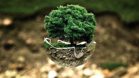 Gana 200 millones en el Euromillones y los dona a la protección del medioambiente