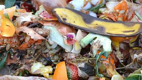 Zéro déchet : le compost bientôt obligatoire en France