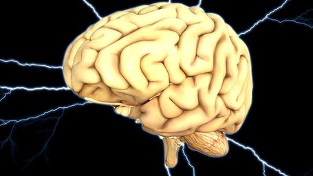 ¿Quién dijo que solo usamos un 10% de nuestro cerebro?