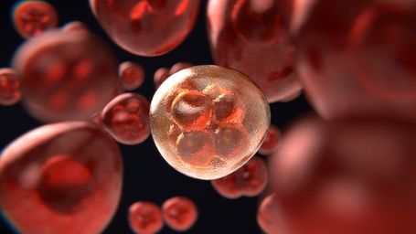 Desarrollan un sensor híbrido que ayuda a diagnosticar el cáncer