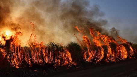 How Climate Change Drives Heatwaves and Wildfires
