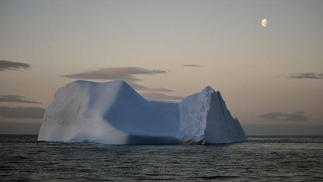 El flitoplacton puede enfriar la Tierra y parar el cambio climático