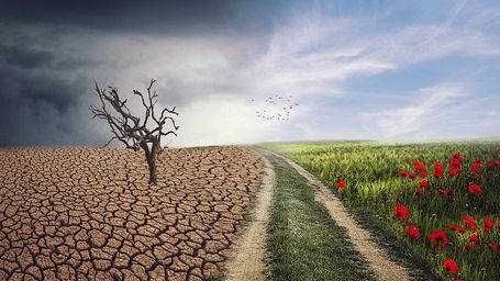 Lyon : avec le Z Event, Time for the Planet passe la seconde pour répondre à l’urgence climatique