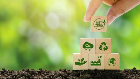 Why Collaboration Is Key If Businesses Are To Become More Sustainable