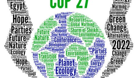 COP27: ¿qué podemos esperar de la conferencia climática de este año?