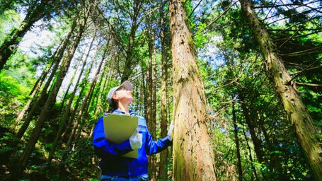 Forestry teams are the first line of defence against climate change. Here’s what they need in 2023