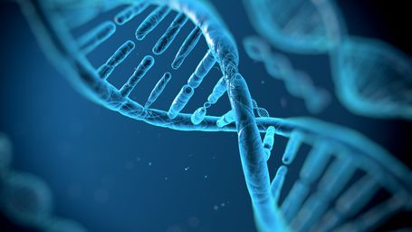 DNA fingerprinting slows illegal poaching and trafficking