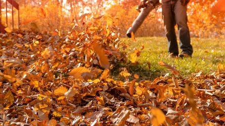 Hear That? It’s the Sound of Leaf Blower Bans