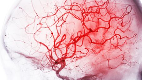 3D-printed brain tissue enables new breakthroughs in research