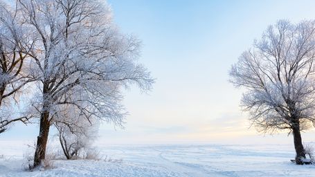 Managing Seasonal Affective Disorder