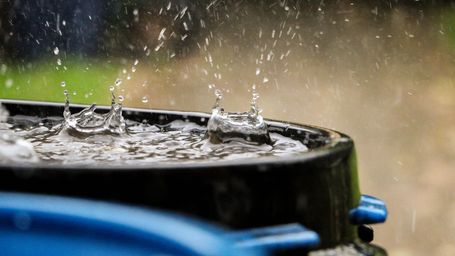 Thirsty Cities: How Collaborative Efforts Contribute To Water Conservation
