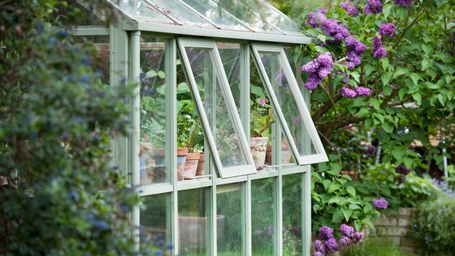 How Different Types of Greenhouses are Benefiting Modern Agriculture