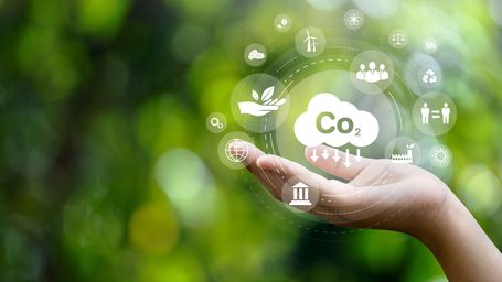 Revving up individual’s climate action: how our plates and wheels can drive down carbon emissions