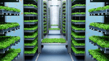 Vertical farming solves our appetite for more agricultural land