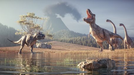 Matching Dinosaur Prints Found in Africa and South America!