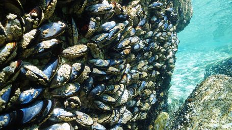 Shells to Sweaters: Sustainable ‘Sea Wool’ Earns Millions for Taiwan Business Spinning Oyster Shells into Yarn